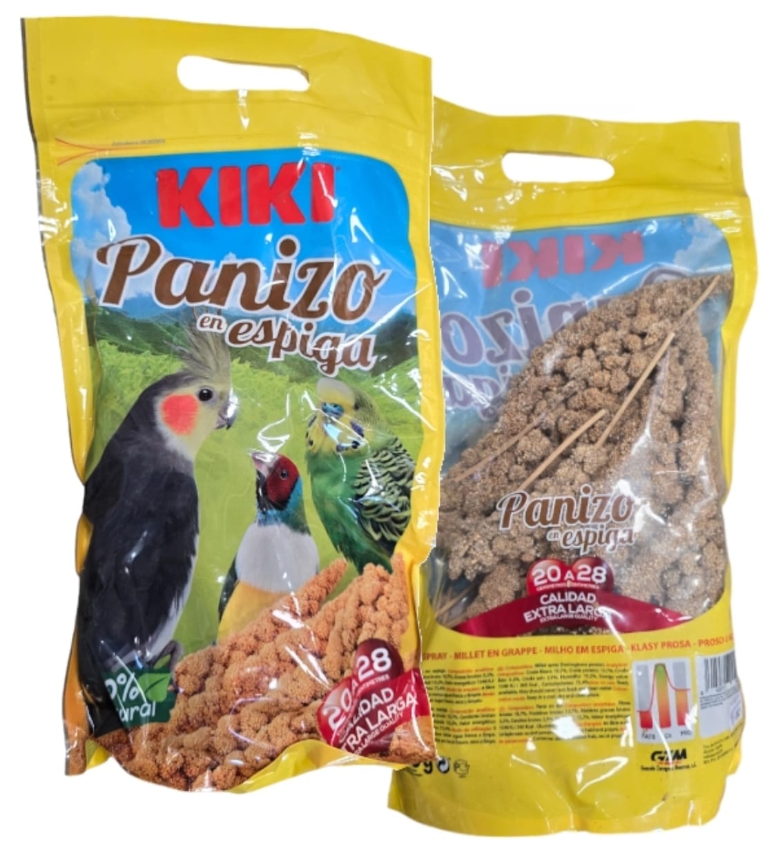Maiz espiga